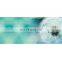 Custom Printing Eco Friendly PVC Yoga Mat