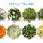 Manual Electric Vegetable Cutting Cabbage Slicer Spinach Cutter Machine