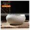 High temperature firing ceramic succulent plant flower pot of high quality