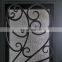 wrought iron door and glass/ wrought iron double door