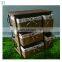 Antique Living Room Cabinet Wooden Cabinet with 5 Rattan Storage Drawers