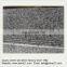 G439 granite(Arabescato granite,Chinese white granite,Swan white granite)