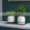 Factory Wholesale Car-Shape-Flower-Pots Human Natural Bruin Painting Pumpkin Pots Large Flower Pot Plastic All Size