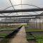 Aluminum foil netting 88gsm 75% shading greenhouse inner shade mesh for greenhouse vegetables energy saving