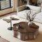 Modern Wood Coffee Table with Walnut Veneer & Stainless steel base