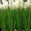 Newest Style Bonsai Colorful Potted Flower Fake Onion Grass Artificial Pot Plant Reed Grass for Dream Restaurant Decoration