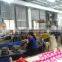pvc machine for making shoes