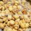 canned botton mushroom with best quality from China