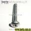 din7981 pan head phillips self tapping screw