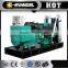 electric power generator dg6000se