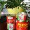 China Supplier ,supply Tomato Paste With Customer's Logo