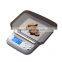 Hot Sale Custom Stainless Steel Jewelry Scale