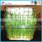 Disposable PET Blister Transparent Clear Clamshell Fruit Container