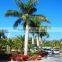 factory customize Artificial outdoor coconut palm tree plastic tall tree with high simulation