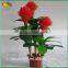 Wholesale Mini Decorative Artificial Bonsai Plants