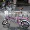 20 inch pet's electric bicycle e-bike special usage(Model PET20U)