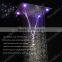 5 Star International Hotel Use UPC Shower Faucet,Electric Shower