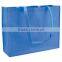 PP Non Woven Gift Bag