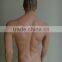 lifelike European male mannequin with make-up face and hair