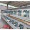 Unhairing Machine for Poultry Chicken Slaughter Machine , chicken slaughtering machine