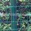 ISO approved factory PVC coated welded mesh fence (lowest price and big supply)