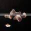 News, Sugar Covered Cashew Nuts