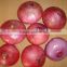 2015 crop fresh red onion for with cheap price shandong onions