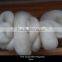 28mic Raw white Blended Wool Top Roving Fiber 75% Uruguay wool/25% Polyester Spinning Felting Weaving