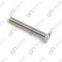 Slotted countersunk head screws