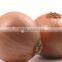 Wholesale Price of Fresh Red/Yellow/White Onions 2016 Crop