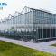 large plastic film greenhouse with control system for plant growth