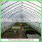 Hot Sale Commercial Arched Type Greenhouse for Roses