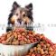 organic natural crunchy dry dog food