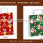 Decorative Paper Gift bags with glossy finish