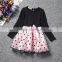 2016 years long sleeve Princess winter Dress wholesale children clothes