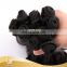 Full Cuticle Human Hair Without Short Hair Inside, Double Drawn Funmi Human Hair Extension