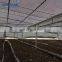 mushroom planting greenhouse film, white black film for agaricus,Oyster Mushroom