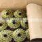 Steel Coil Nail For Construction And Building