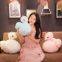 Crown Goose Plush Toy For Sale  / Children Pillow for Girls