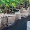 heavy duty thickened white felt grow bags