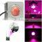 COB LED Grow Light Full Spectrum Growing Lamp 60W Plant Lighting  For Plants Flowers Seedling Cultivation