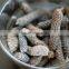 Premuim Quality Trikatu Powder Sales And Export