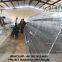 Layer poultry farming equipment