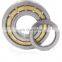 Hot Selling Factory Price Silver NU203  Double Row Cylindrical Roller Bearing Carbon RN309