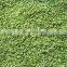 wholesale good quality factory price Chinese frozen green onion