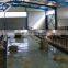 Hot Sale Peb Economical Steel Structure Building Dairy Farm Cow Shed Prefab Steel Horse Arena Livestock Shed Design