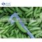 Sinocharm BRC A Approved 4-9cm Good Price New Crop IQF Frozen Sugar Snap Peas