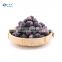 Sinocharm BRC A Approved Organic Nutrient-rich IQF Blueberry Frozen Blueberry