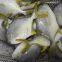 frozen IQF golden pompano /golden pomfret fish