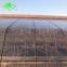 qingtian PO warranty anti-dripping greenhouse plastic film for agriculture with long service time